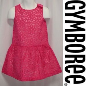 Gymboree Dress Fuchsia Floral Eyelet Organza Bow